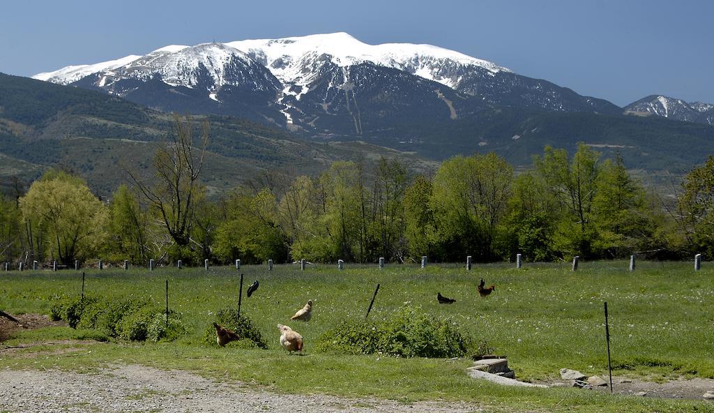 Mas Mallol Puigcerdà Εξωτερικό φωτογραφία
